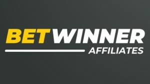 Discover the Excitement of Betwinner Your Go-To Betting Platform