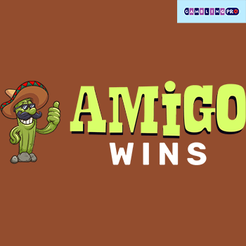 Discover the Excitement How Amigo Wins Changes the Online Gaming Landscape