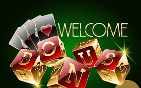 Comprehensive Playamo Casino Review Your Ultimate Gaming Destination