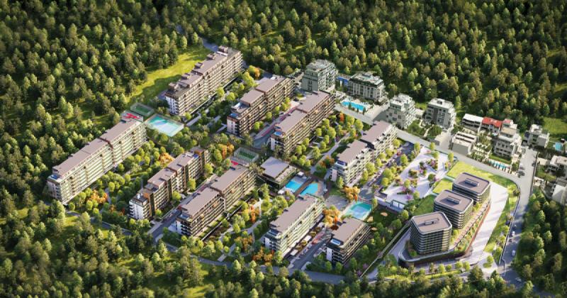 Real Estate in Georgia Market Trends and Opportunities