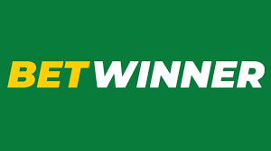 A Comprehensive Guide to BetWinner APK File